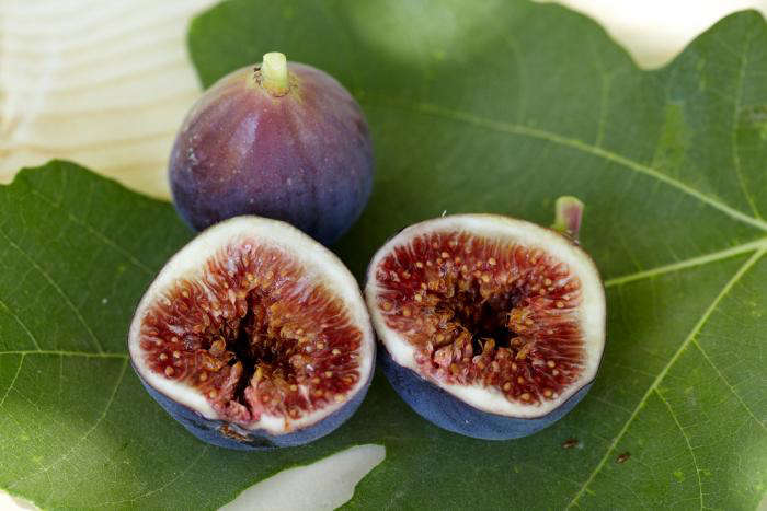 Семена инжира. Инжир. Семечки инжир. Инжир фрукт. Инжир сухой.